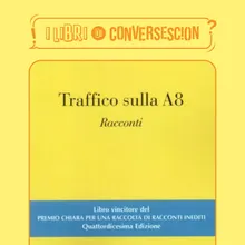 Traffico sulla A8 - Federica Cunego